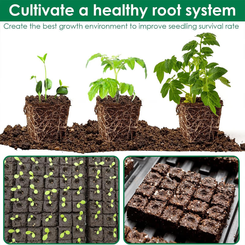 Cell Soil Block Maker with 3 Kinds Seed Pins
